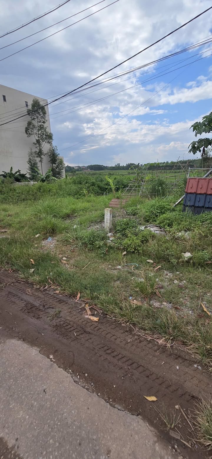 FrontHouse Quốc lộ 31, Thị trấn Đồi Ngô, 81m² - Đầu tư sinh lời ngay!