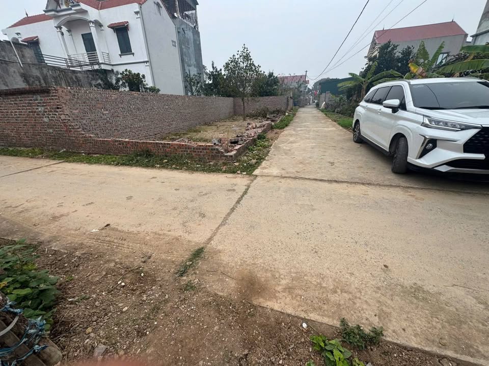 Đất lô góc 88.2m² tại Việt Hưng, Văn Lâm - Đầu tư sinh lời ngay!