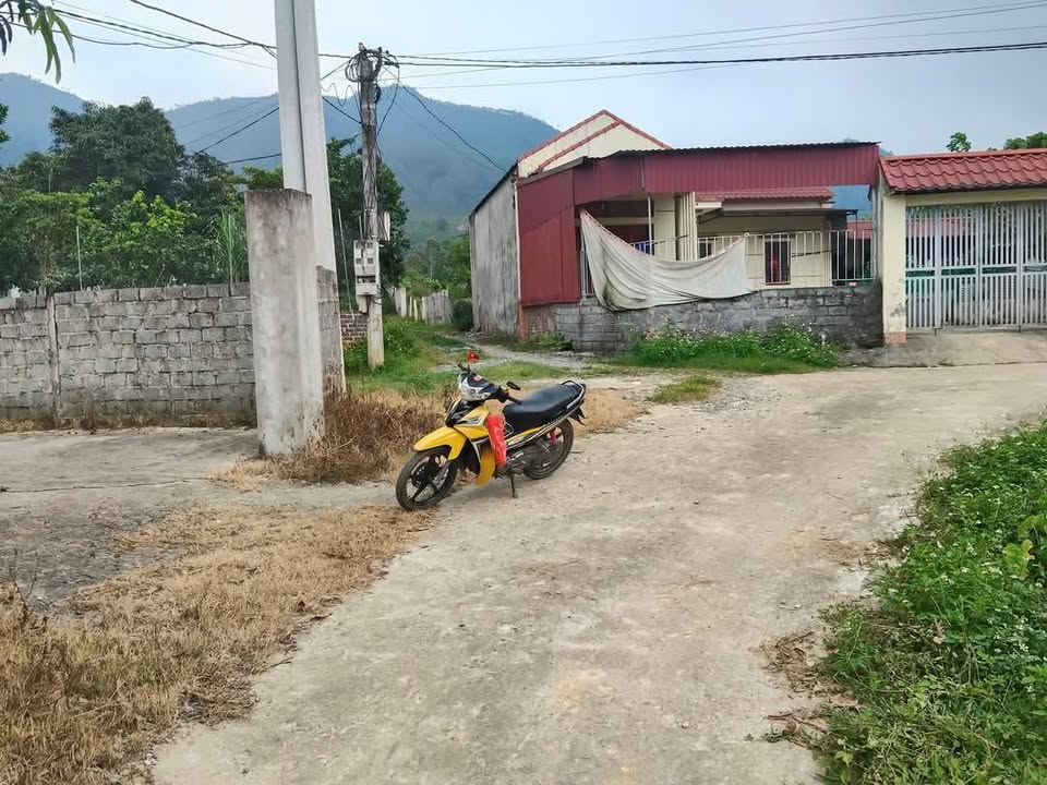 Đất nền Xã Đồng Thịnh, Huyện Yên Lập 400m² - Đầu tư sinh lời tiềm năng!