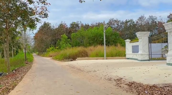 Đất thổ cư 200m² tại Lai Uyên, Bàu Bàng - Giá chỉ 700 triệu!