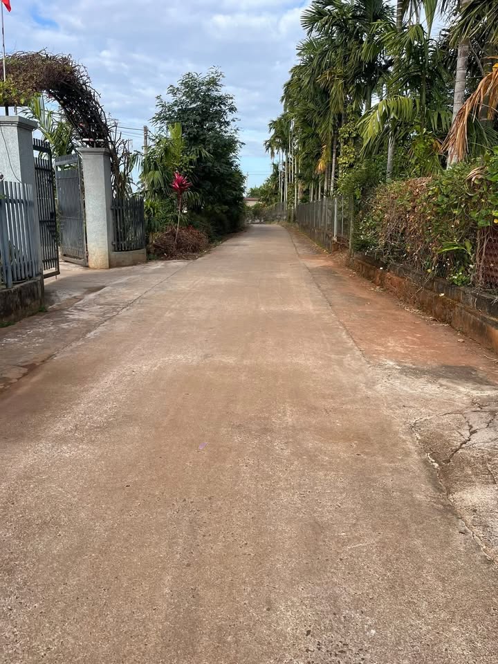 Đất thổ cư 3300m² tại Thôn 24 Eaning, Cư Kuin - Giá chỉ 2 tỷ!