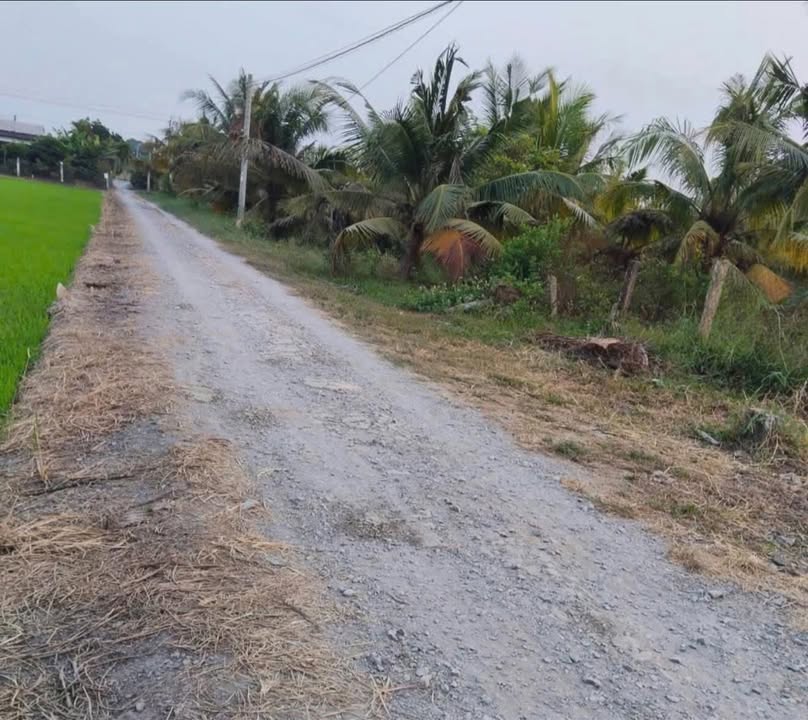 Đất nền mặt tiền Tỉnh lộ 877, 245m² giá 380 triệu - Đầu tư sinh lời ngay!