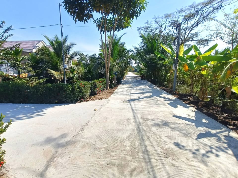 Đất vườn 1000m² tại Ấp Hòa Phú, Đồng Tháp giá 1.15 tỷ - Đầu tư lý tưởng!