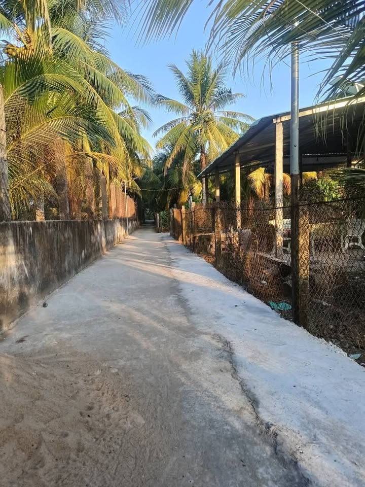 Đất nền Ấp Phong Thuận, Tân Mỹ Chánh 249m² giá 699 triệu - Cơ hội đầu tư hấp dẫn!