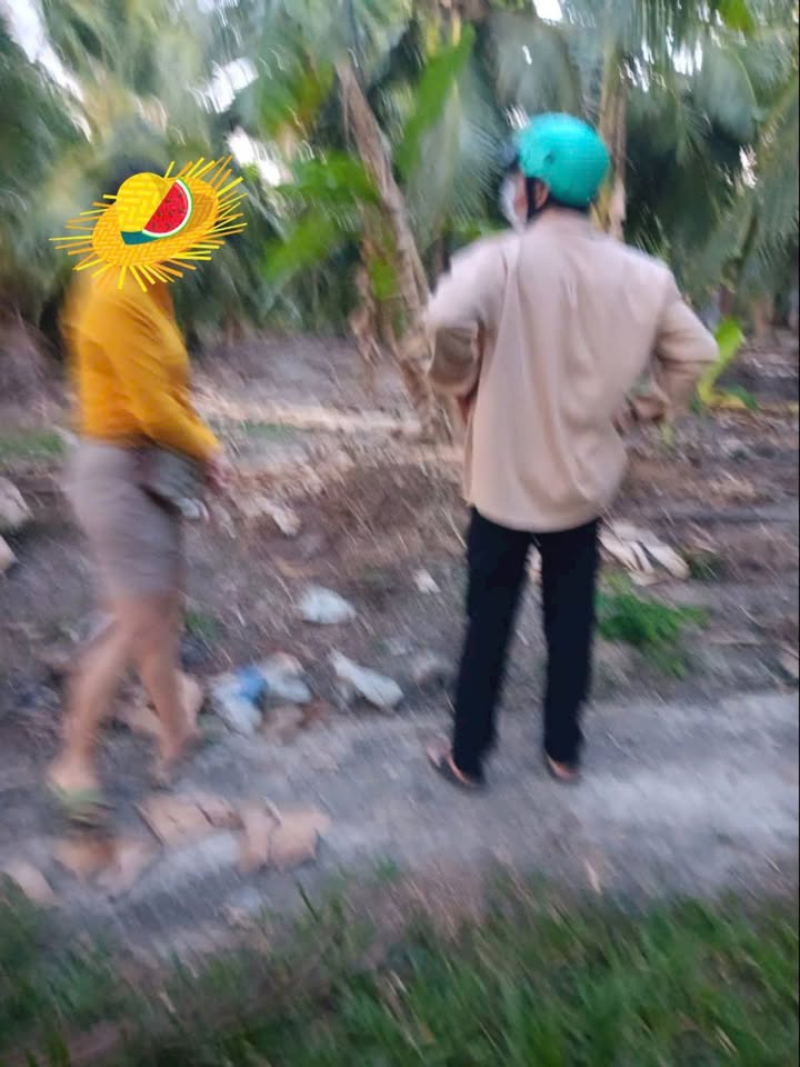 Đất nền đẹp 986m² tại Châu Hưng, Bình Đại - Giá chỉ 770 triệu!