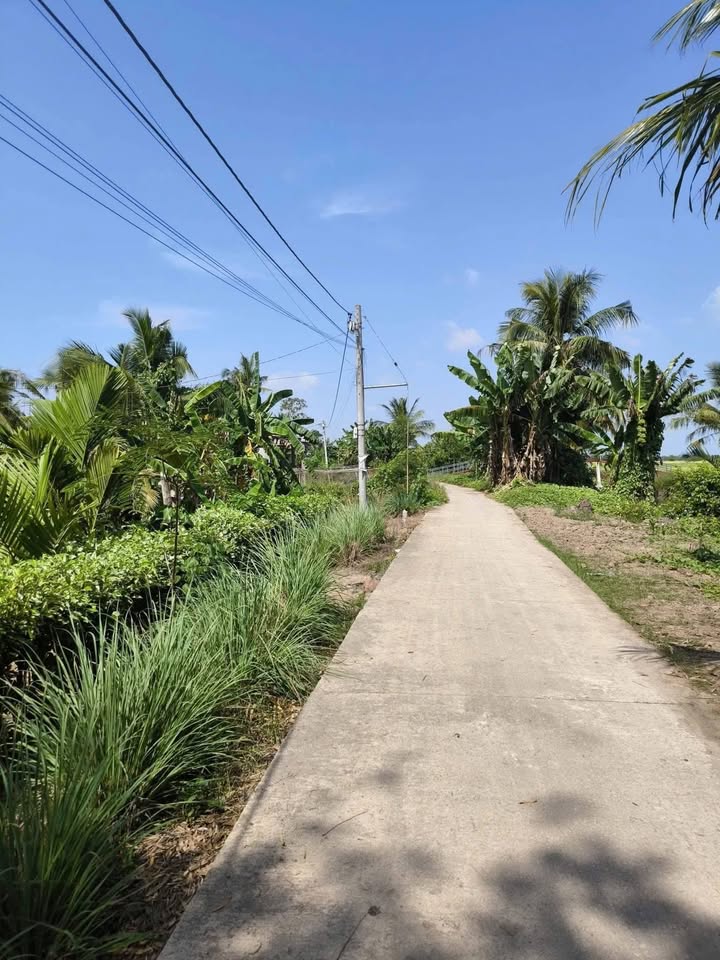 Đất nền Tài Văn, Trần Đề, Sóc Trăng 250m² giá 190 triệu - Sổ đỏ chính chủ