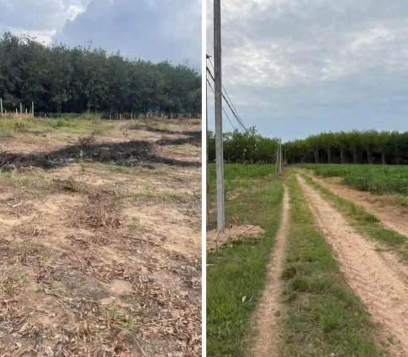 Đất Farm Xã Thạnh Bình, Huyện Tân Biên, 90000m² giá 4.5 tỷ - Cơ hội vàng đầu tư!