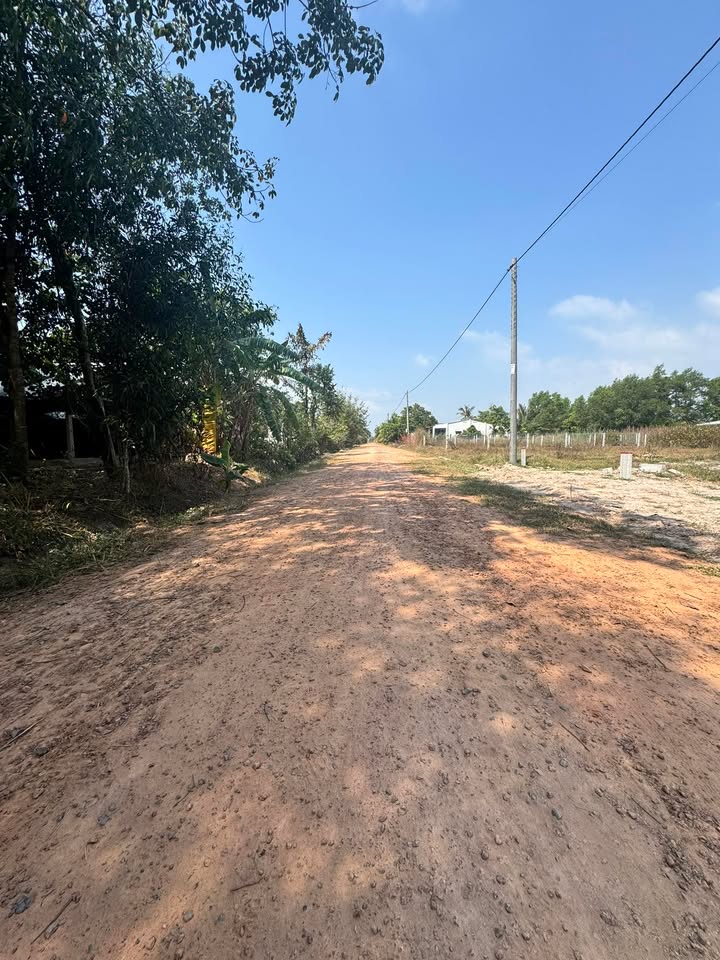 Đất thổ cư 210m² tại Long Chữ, Bến Cầu - Giá chỉ 295 triệu - Cơ hội đầu tư tuyệt vời!