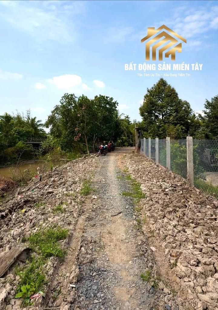 Farm Sầu Riêng 11.3ha tại Tân Nhuận Đông, Đồng Tháp - Giá chỉ 7.2 tỷ!