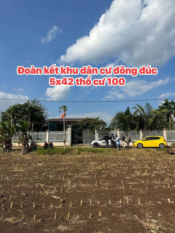 Đất nền Đoàn Kết, Hòa Khánh 210m² giá 625 triệu - Cơ hội đầu tư không thể bỏ lỡ!