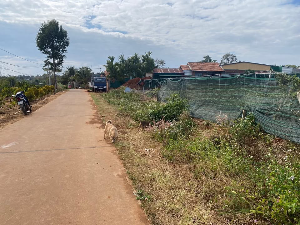 Đất thổ cư Quảng Tiến 118,7m² giá chỉ 1,72 tỷ - Cơ hội đầu tư tuyệt vời!