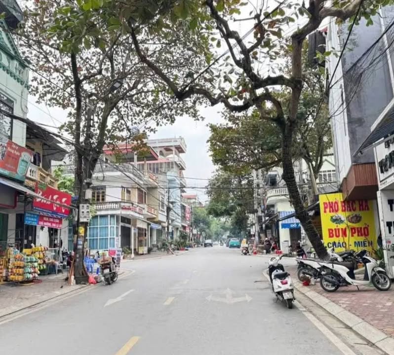 Đất Kinh Doanh Đắc Địa Đường Duyên Hà 100m² giá 4.25 tỷ - Cơ hội đầu tư tuyệt vời!