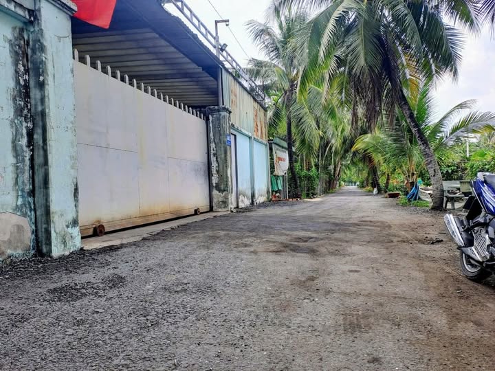 Bán xưởng 1000m² tại Nhị Bình, Hóc Môn - Hạ tầng hoàn chỉnh, giá tốt