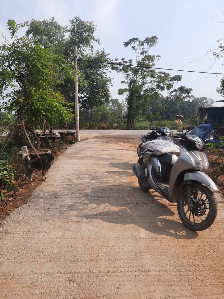 Đất trồng cây lâu năm tại Kim Quan, Thạch Thất, 715m² - Pháp lý rõ ràng