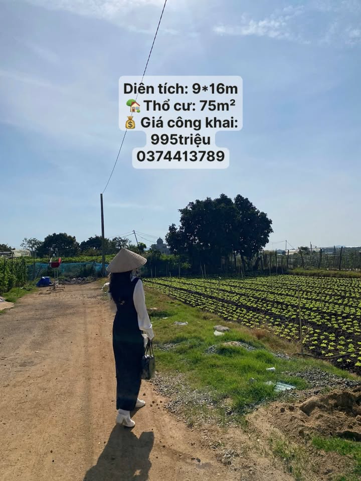 Đất nền Đức Trọng 75m² giá 11.625 tỷ - Cơ hội đầu tư tuyệt vời!