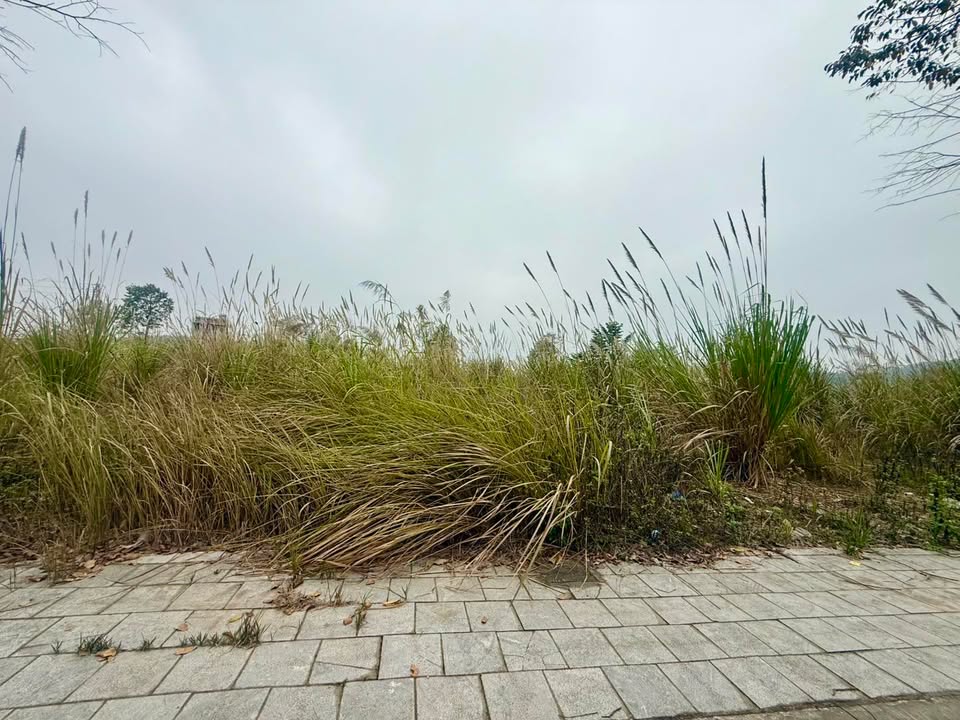 Đất nền Ruby Garden Yên Bình 102,5m² giá 1,4 tỷ - Đầu tư sinh lời chắc chắn!