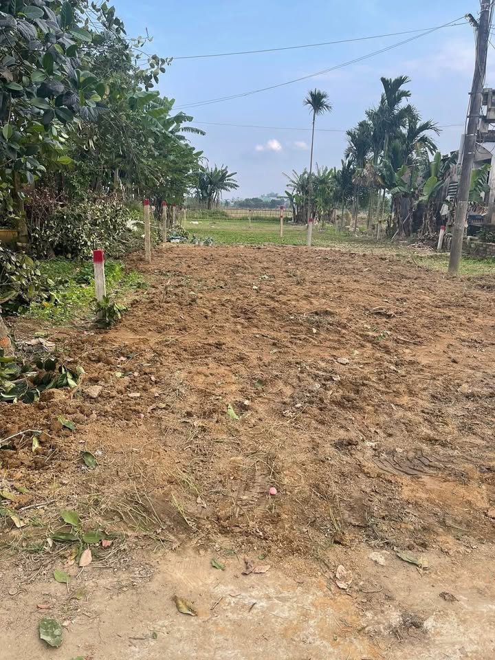 Đất nền Thị trấn Nam Phước 170m² giá 600 triệu - Đầu tư sinh lời ngay!