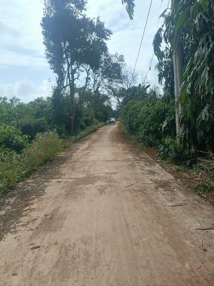 Đất nền 10,000m² tại Mậu Tràm, Vĩnh Hòa giá 5 tỷ - Cơ hội đầu tư hấp dẫn!