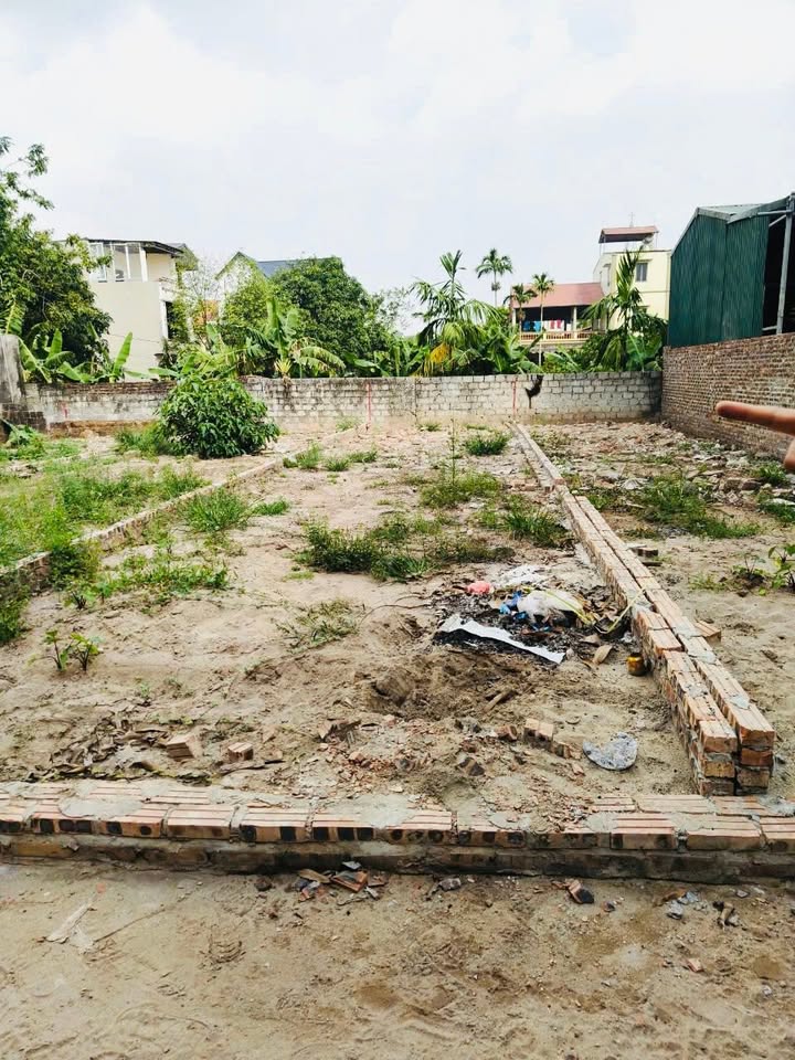 Đất nền Xã Cẩm Xá - 64m² giá 4 tỷ - Sổ đỏ vuông vắn, ô tô vào tận nơi!