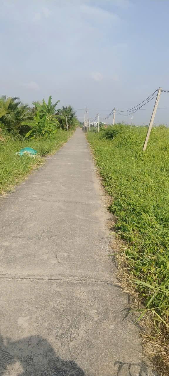 Đất thổ cư 6300m² tại Ấp 8, Châu Thành, Tây Ninh - Giá 4.41 tỷ, cơ hội đầu tư tuyệt vời!