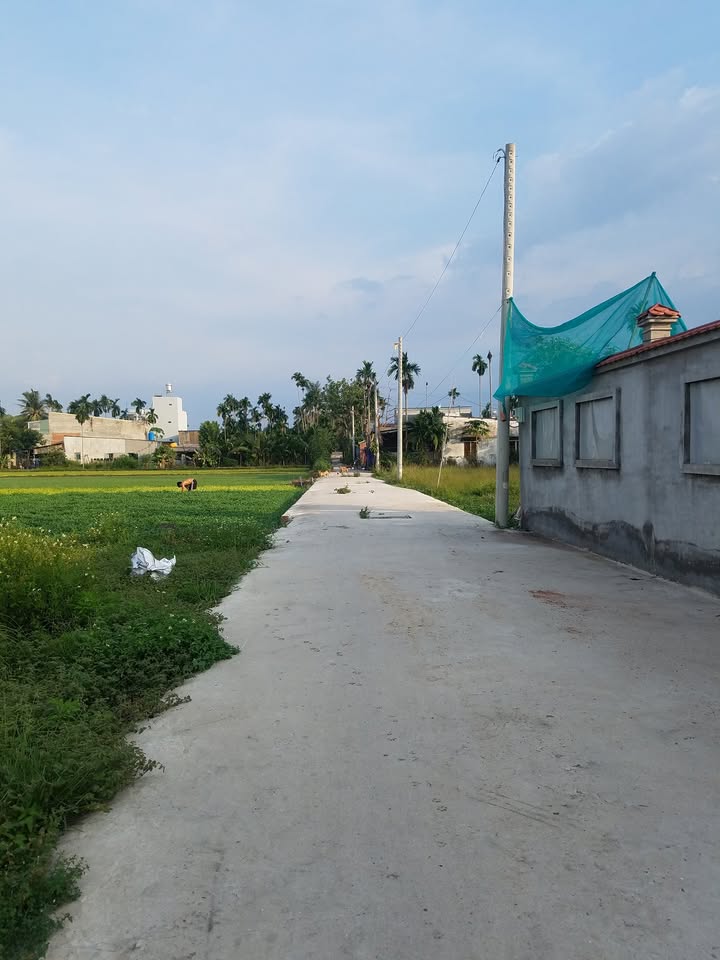 Đất nền 1/Thạnh Xuân 25, Quận 12, 55m² giá 980 triệu - Cơ hội đầu tư hấp dẫn!