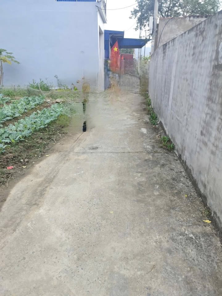 Đất nền Xã An Thắng, Huyện An Lão 200m² - Giá thỏa thuận cho nhà đầu tư!