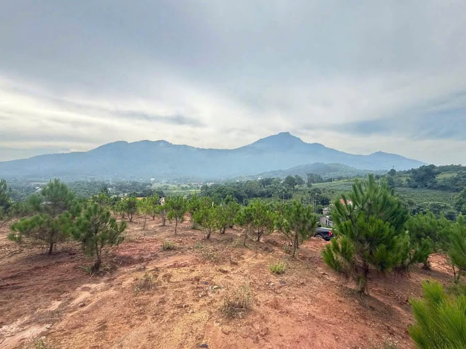 Đất nền Thôn Dy, Minh Quang, Ba Vì 3500m² giá chỉ 2,x triệu - Sổ đỏ chính chủ!