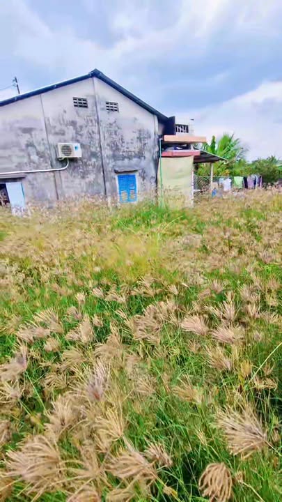 Biệt thự nghỉ dưỡng đường Hoa Hồng, quận Ninh Kiều, 272m² - Đầu tư sinh lời hấp dẫn!