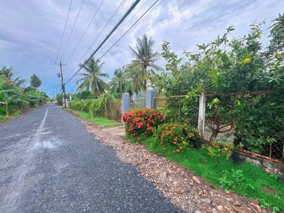 Đất nền 1139m² xã Đông Phước, Cần Thơ - Sổ hồng chính chủ, giá tốt!