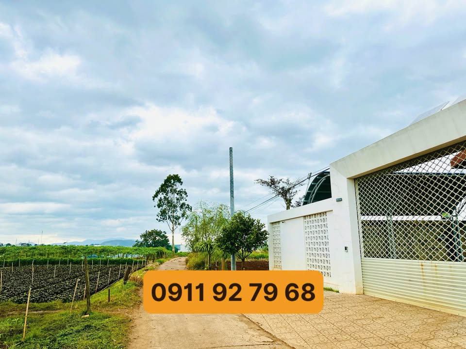 Đất thổ cư Đồi Nghĩa Hiệp, Đức Trọng, 104m² - Đầu tư sinh lời ngay!