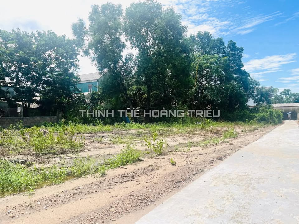 Bán đất kiệt đường Nguyễn Hoàng, xã Triệu Phong, 500m² - Vị trí trung tâm lý tưởng!