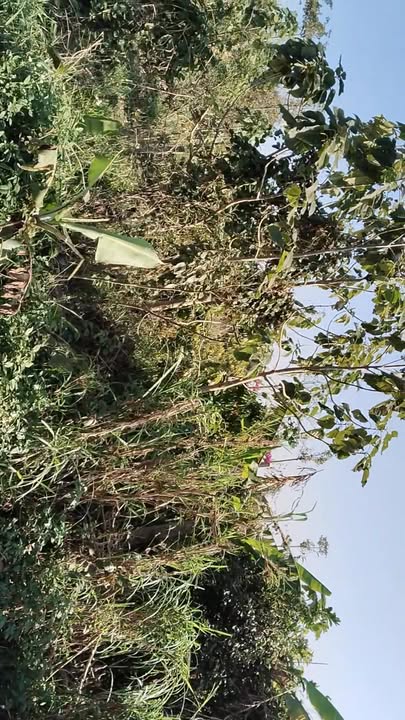 Đất thổ cư 768m² tại Phú Xuân, Krông Năng - Vị trí đắc địa, giá chỉ 992 triệu!