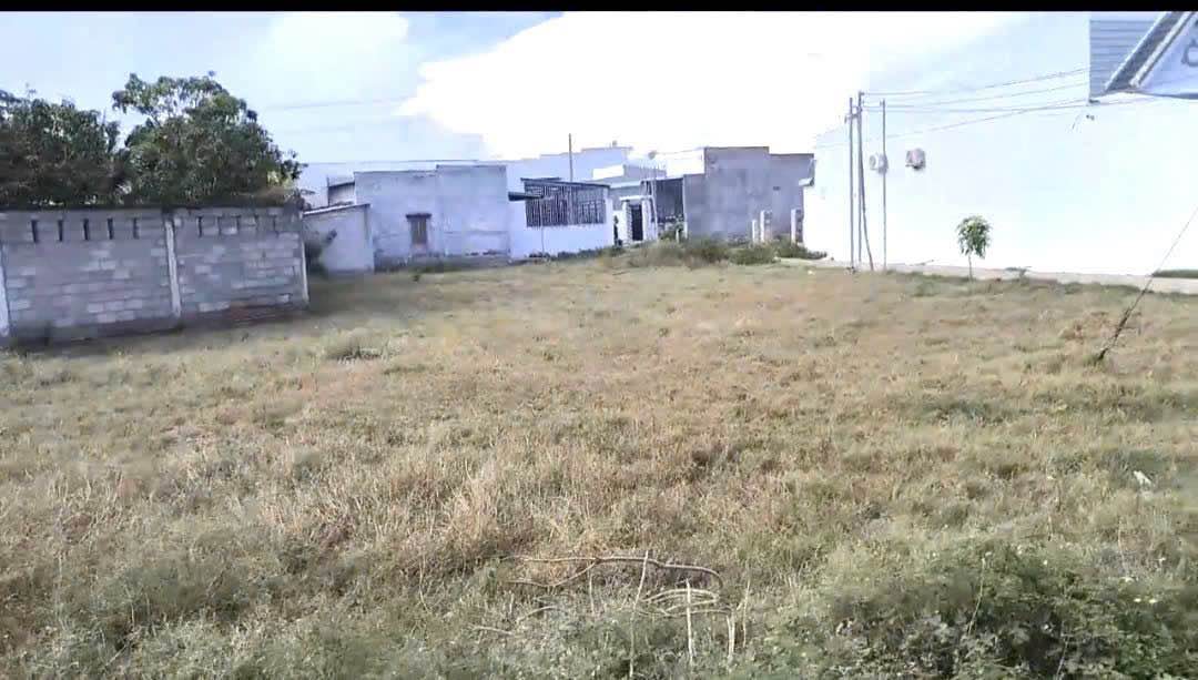 Đất lô góc 2 mặt tiền Ngô Đức Tốn, 910m² - Đầu tư sinh lời ngay!