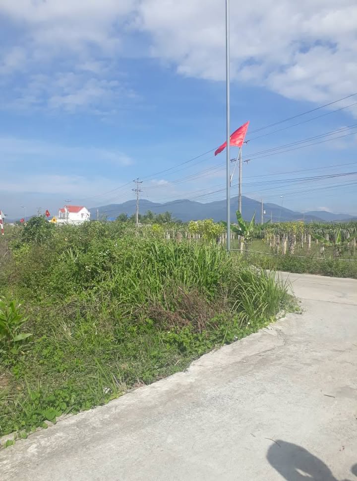 Đất nông nghiệp Xã Hàm Hiệp 10.000m² giá 2.16 tỷ - Mặt tiền bê tông đắc địa!