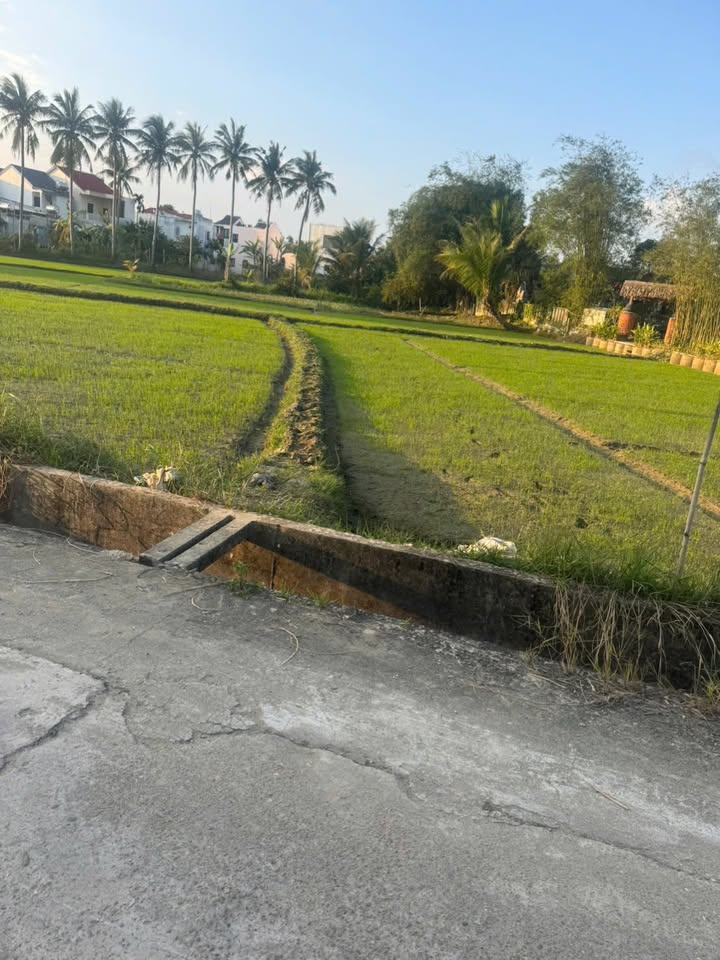 Đất nền 140m² kiệt Huỳnh Thị Lựu, Điện Thọ - Giá chỉ 4 tỷ VND!