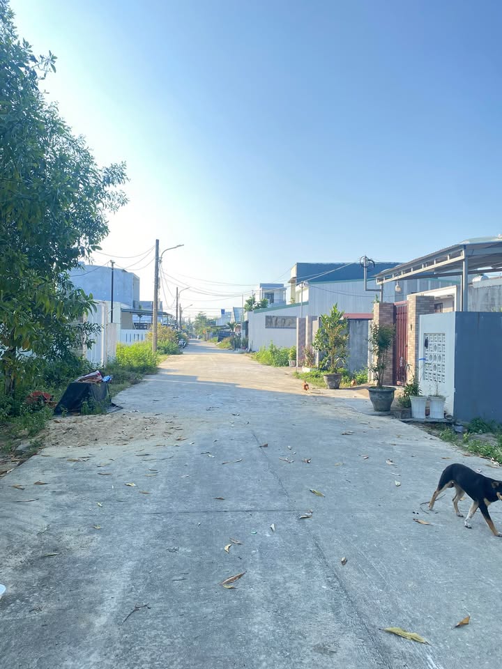 Đất nền Điện Nam Đông 100m² giá 1.6 tỷ - Chính chủ cần bán gấp!