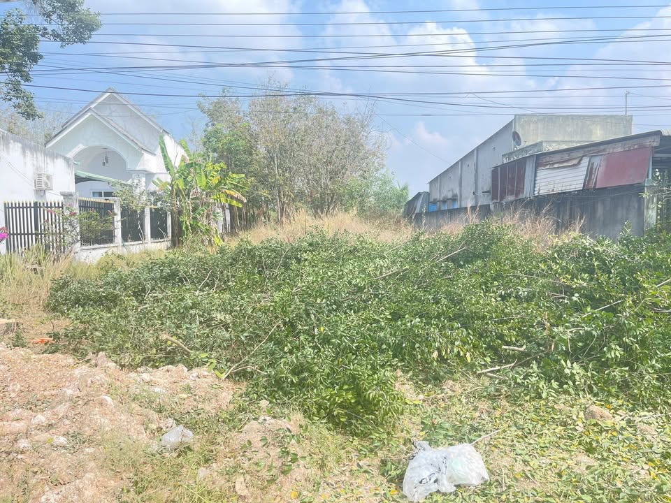 Đất nền Khu du lịch Hồ Dầu Tiếng - 1290m² giá 3 tỷ - Đầu tư sinh lời hấp dẫn!