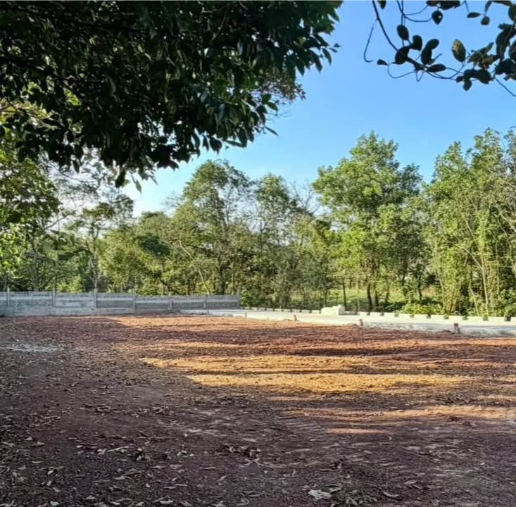 Đất Kiệt 55 Vũ Ngọc Phan, Thủy Xuân 100m² giá 1.6 tỷ - Đường ô tô 6m tiện lợi!