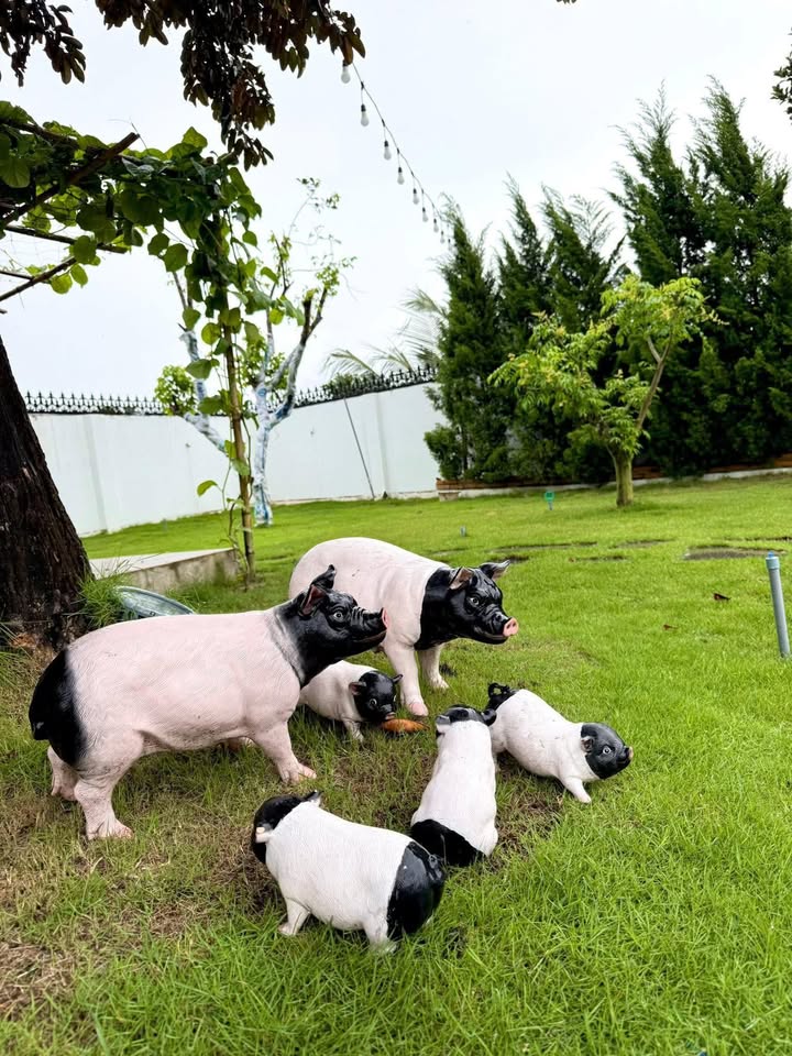 Đất nền đẹp tại Tam An, Long Điền, 200m² giá 1.15 tỷ - Đầu tư sinh lời ngay!