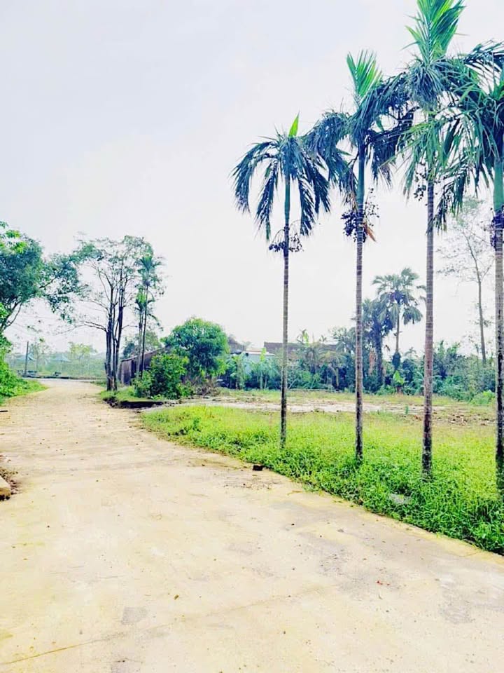 Đất nền Liên Hương, Thạch Đài 130m² giá thỏa thuận - Đường Hàm Nghi Kéo dài thuận lợi!