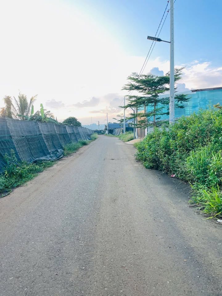 Đất thổ cư Hẻm 113 Nguyễn Đình Chiểu 140m² giá 1.8 tỷ - Đường thông dân cư thuận lợi!