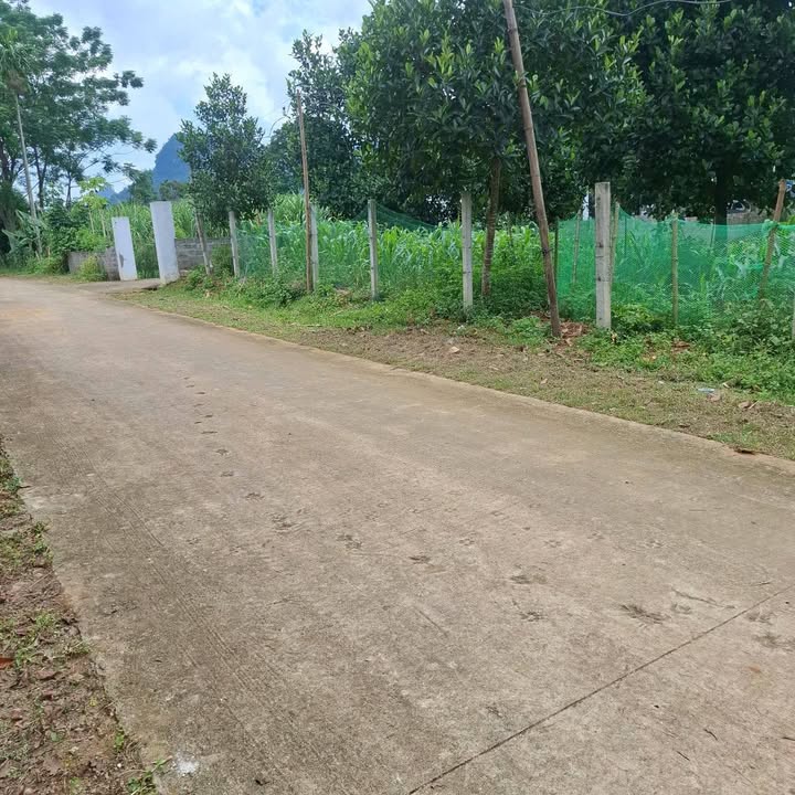 Đất nền Mỹ Hòa Tân Lạc 1100m² giá 1 tỷ - Đầu tư lý tưởng cho tương lai!