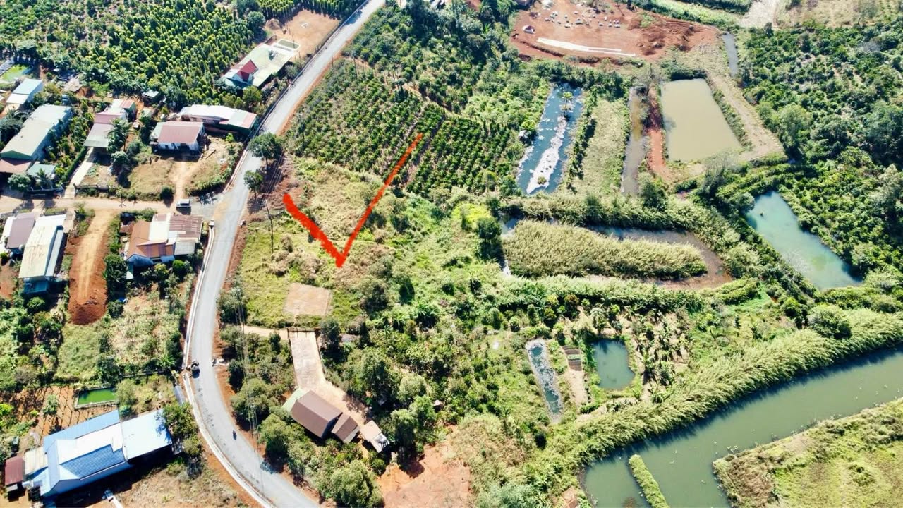 Đất nền thổ cư 4536m² tại Xã Quảng Tín - Phù hợp làm kho bãi, buôn bán!