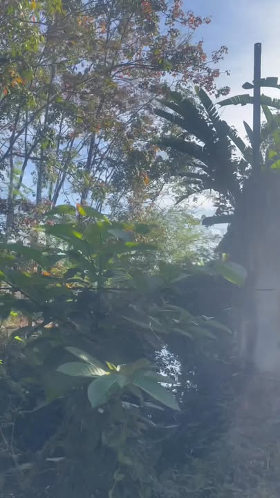 Đất nền 360m² tại Tân Hưng, Đồng Phú chỉ 900 triệu - Giá rẻ cho tài chính thấp!