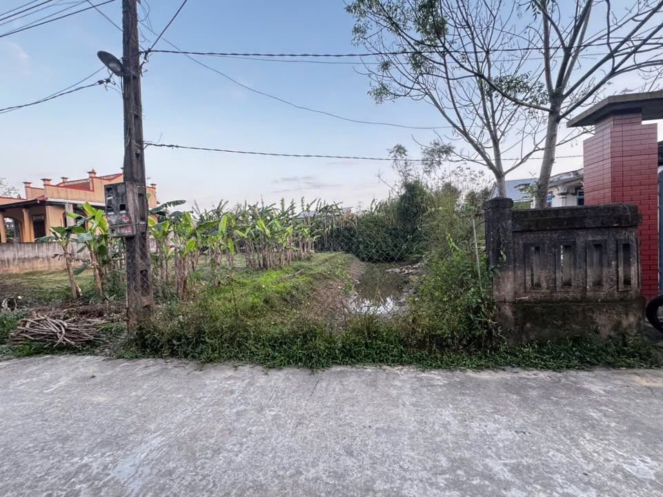 Đất nền Quảng Thọ 110m² giá chỉ 3xx triệu - Đầu tư sinh lời ngay!