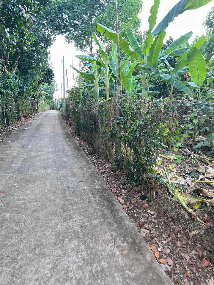 Đất 514m² tại Chợ Bảo Vinh, Long Khánh, Đồng Nai - Giá chỉ 950 triệu!