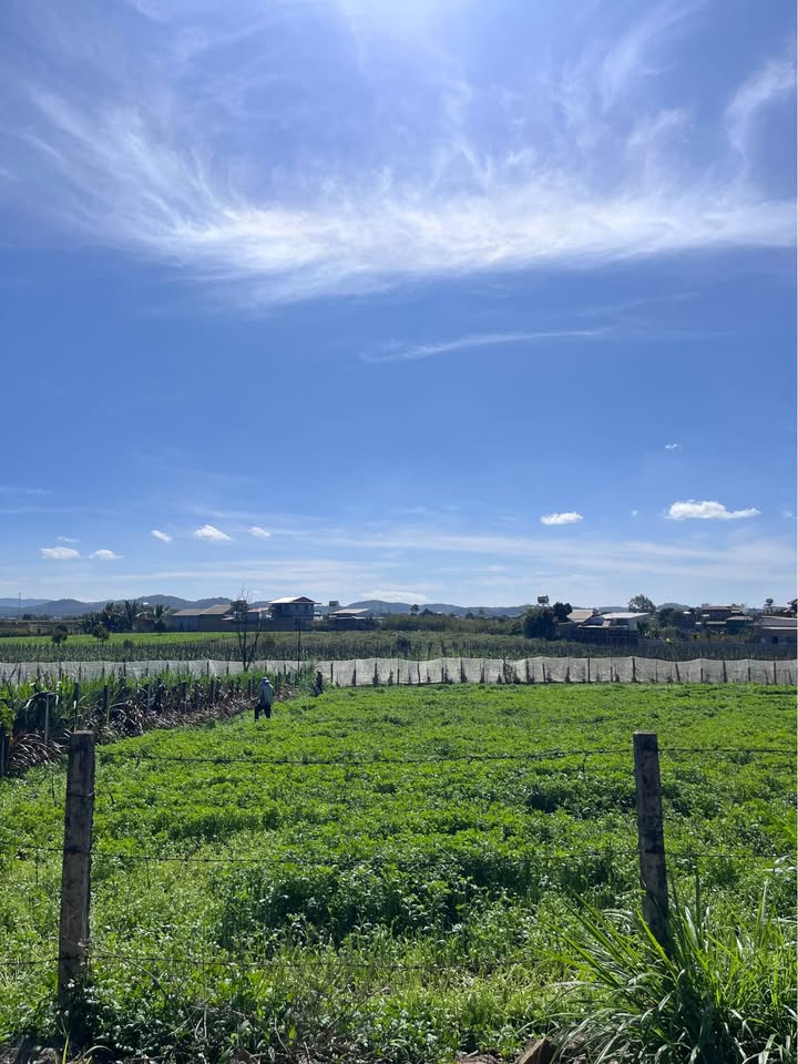 Đất nền thổ cư 1000m² tại Rchai - Phú Hội giá chỉ 1.5 tỷ - Cơ hội đầu tư tuyệt vời!