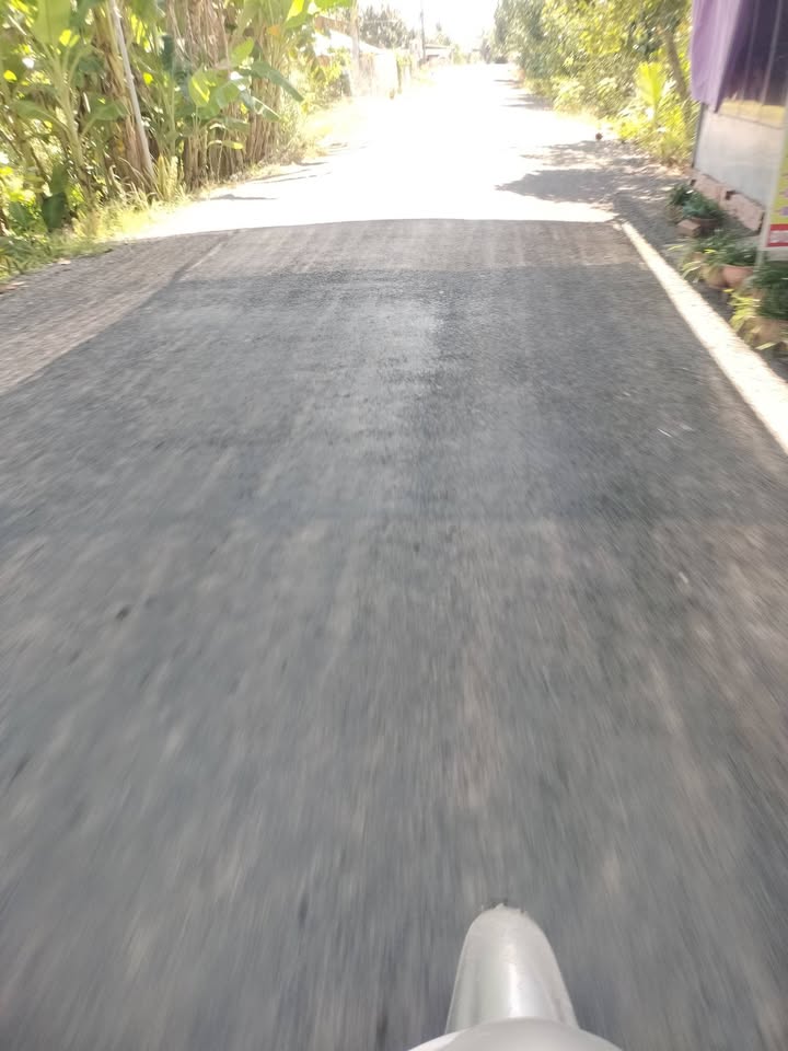 Farm diện tích 13.000m² tại Mỹ Trung, Cái Bè - Cho thuê dài hạn chỉ 6 triệu/năm!