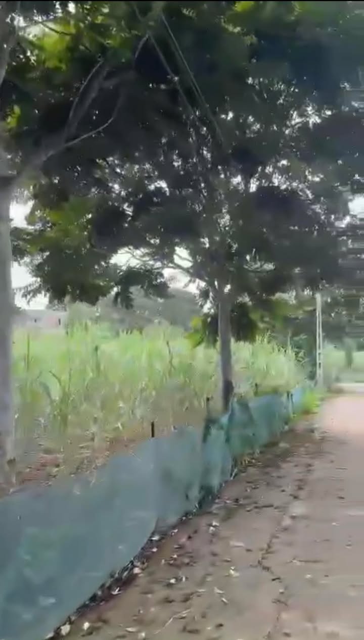 Đất nền Cẩm Ngọc 5000m² giá 2 tỷ - Đầu tư sinh lời ngay!