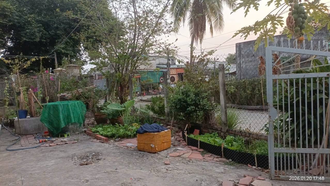 Đất cho thuê dài hạn tại Chợ Long Yên, Tây Ninh - Diện tích 1224m², giá thỏa thuận!